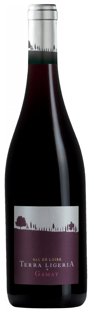 TERRA LIGERIA GAMAY 2022