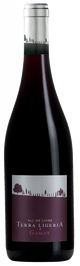 TERRA LIGERIA GAMAY 2022